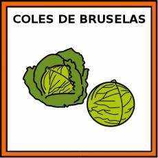 COLES DE BRUSELAS - Pictograma (color)