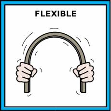 FLEXIBLE - Pictograma (color)