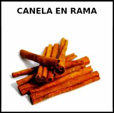 CANELA EN RAMA - Foto
