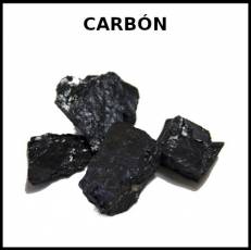 CARBÓN - Foto