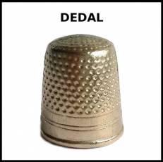 DEDAL - Foto