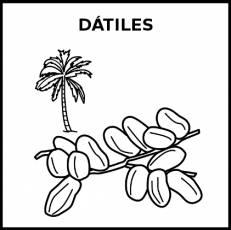 DÁTILES - Pictograma (blanco y negro)