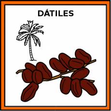 DÁTILES - Pictograma (color)