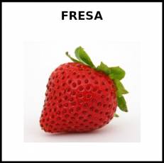 FRESA - Foto