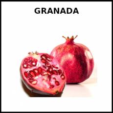 GRANADA (FRUTA) - Foto