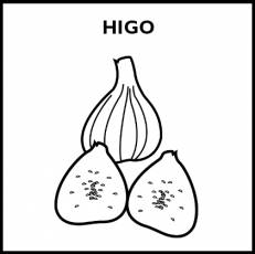 HIGO - Pictograma (blanco y negro)