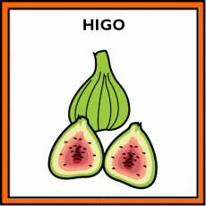HIGO - Pictograma (color)