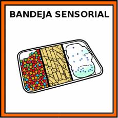 BANDEJA SENSORIAL - Pictograma (color)