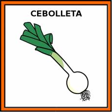 CEBOLLETA - Pictograma (color)