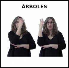 ÁRBOLES - Signo