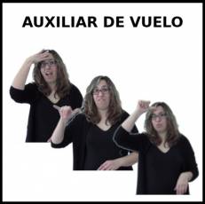 AUXILIAR DE VUELO (HOMBRE) - Signo