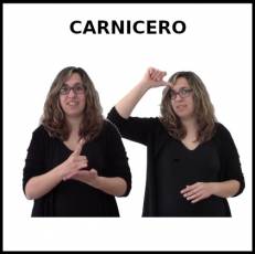 CARNICERO - Signo
