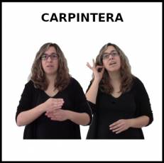 CARPINTERA - Signo