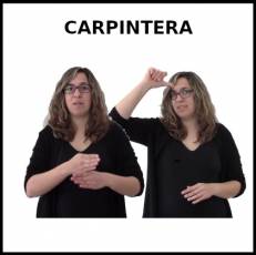 CARPINTERO - Signo