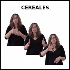 CEREALES (PAQUETE) - Signo