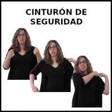 CINTURÓN DE SEGURIDAD - Signo