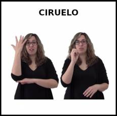 CIRUELO - Signo