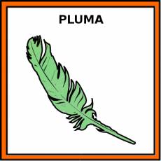 PLUMA - Pictograma (color)