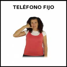TELÉFONO FIJO - Signo