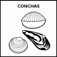 CONCHAS - Pictograma (blanco y negro)