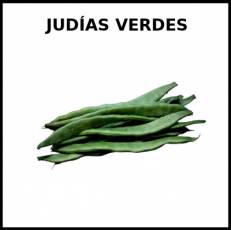 JUDÍAS VERDES - Foto