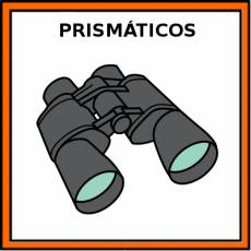 PRISMÁTICOS - Pictograma (color)