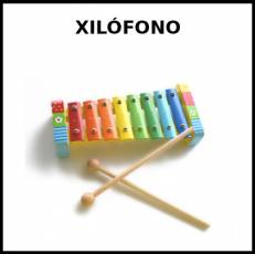 XILÓFONO - Foto