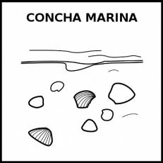 CONCHA MARINA - Pictograma (blanco y negro)