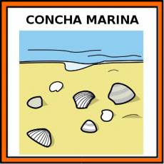 CONCHA MARINA - Pictograma (color)