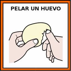 PELAR UN HUEVO - Pictograma (color)