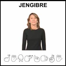 JENGIBRE - Signo