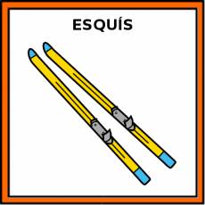 ESQUÍS - Pictograma (color)