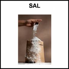 SAL - Foto
