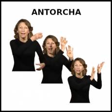 ANTORCHA - Signo