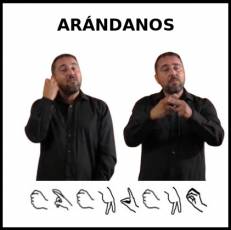 ARÁNDANOS - Signo