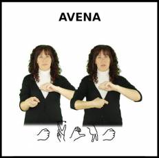 AVENA - Signo