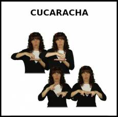 CUCARACHA - Signo