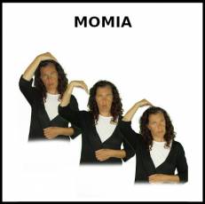 MOMIA - Signo
