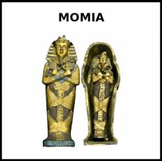 MOMIA - Foto