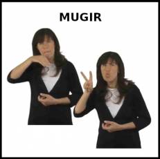 MUGIR - Signo