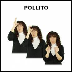 POLLITO - Signo
