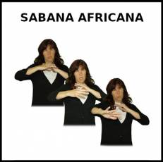 SABANA AFRICANA - Signo