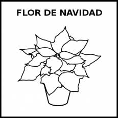 FLOR DE NAVIDAD - Pictograma (blanco y negro)