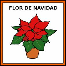FLOR DE NAVIDAD - Pictograma (color)
