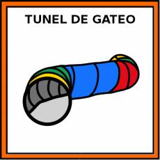 TÚNEL DE GATEO - Pictograma (color)