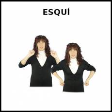 ESQUÍ - Signo