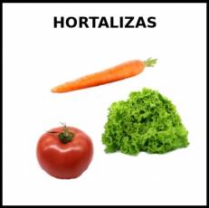 HORTALIZAS - Foto