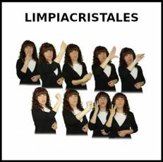LIMPIACRISTALES - Signo