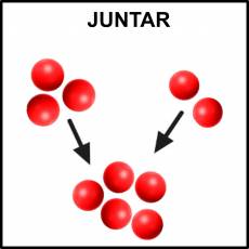JUNTAR - Foto