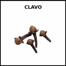CLAVO (ESPECIA) - Foto